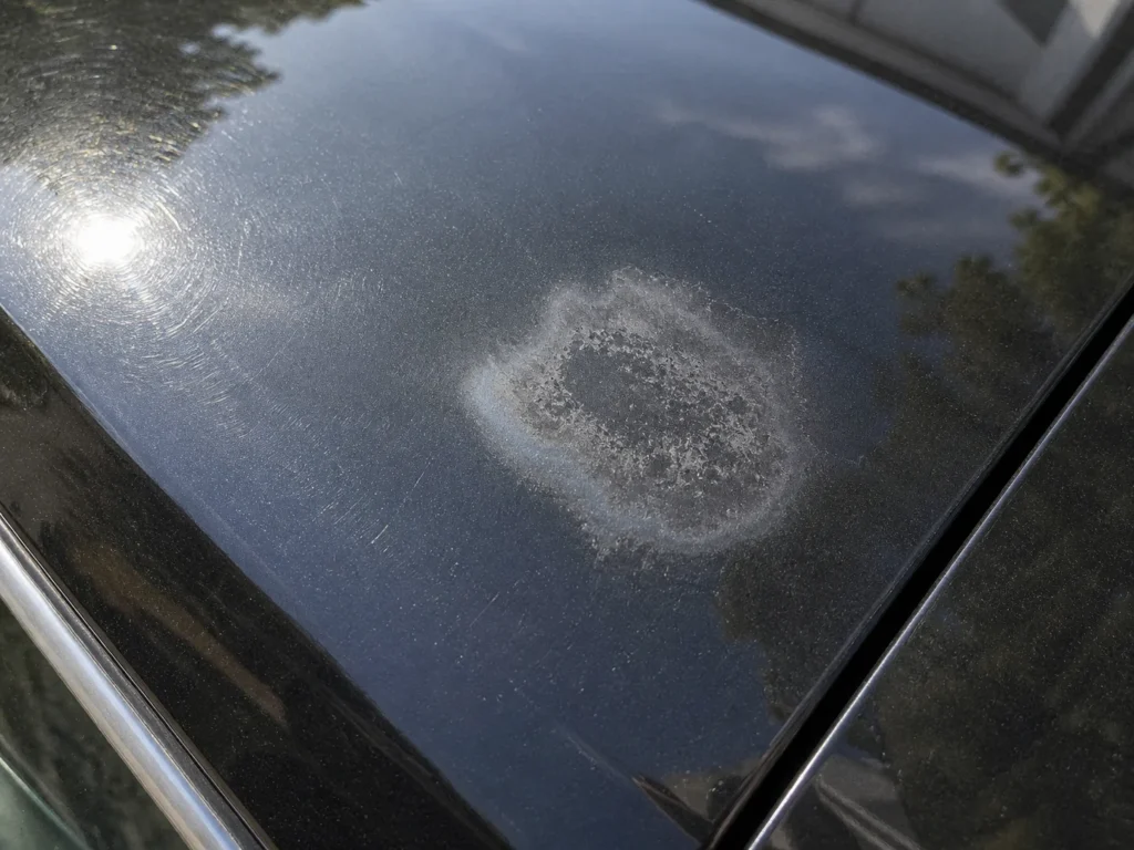 Doffe etching-plek op een donkere autolak veroorzaakt door ingebeten vogelpoep